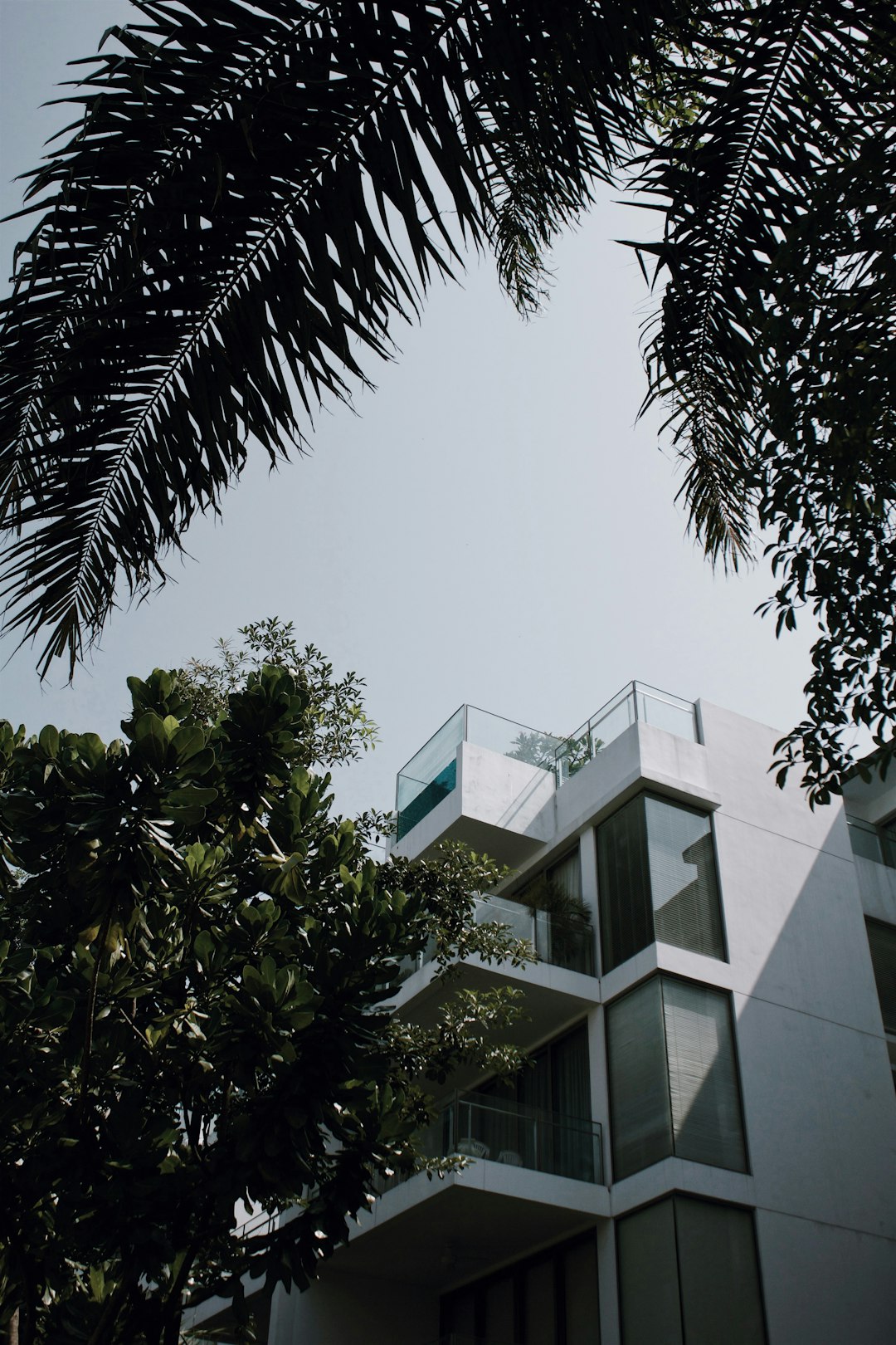 Contemporary residential project showcase